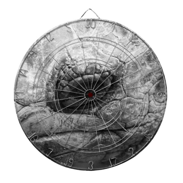 Cible De Fléchettes BW Tortoise (Devant)