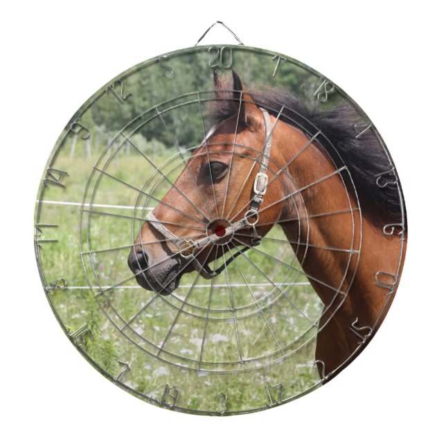 Cible De Fléchettes Cheval Brown (Devant)