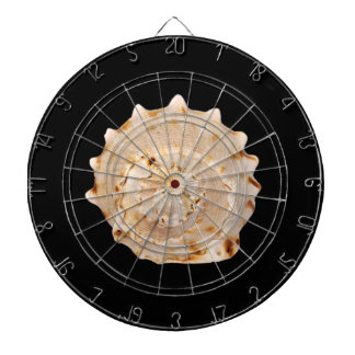 Cible de flechettes Conch Shell