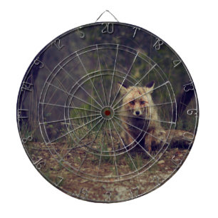 Cible De Fléchettes Coyote