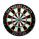 Custom Family Name Rustic Dartboard