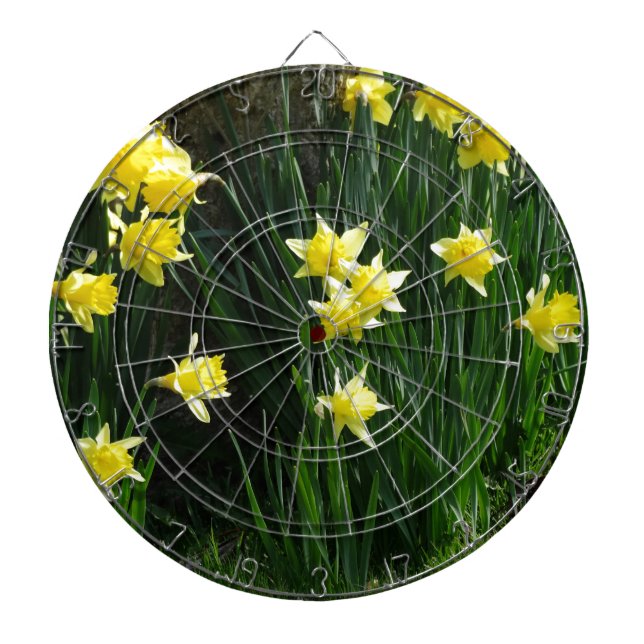 Cible De Fléchettes Daffodiques de printemps (Devant)