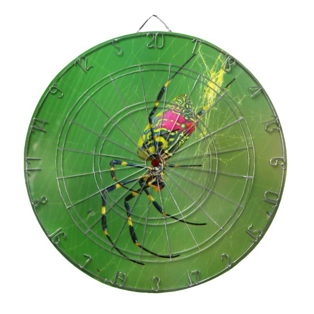 Cible de flechettes d'araignée d'orbe dorée (Devant)