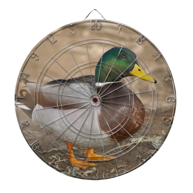 Cible de flechettes de chasse au canard de Mallard (Devant)