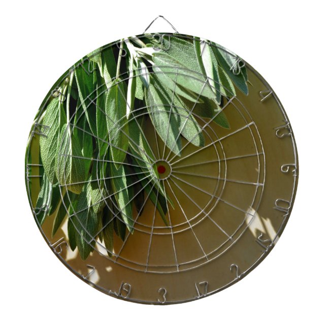 Cible De Fléchettes Élégante plante verte feuille herbes fraîches coup (Devant)