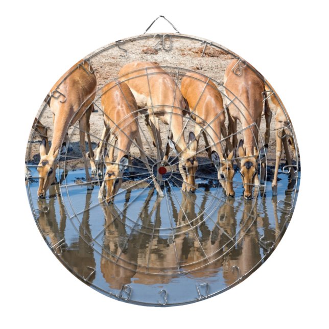 Cible De Fléchettes Impalas au trou d'eau (Devant)