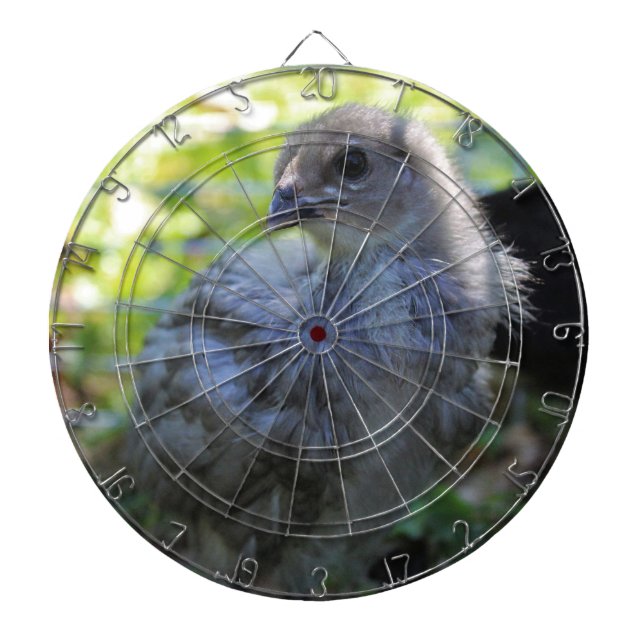 Cible De Fléchettes Jacinthe des bois (Devant)