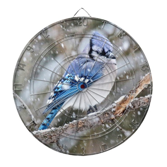 Cible De Fléchettes Jay bleu dans une tempête de neige (Devant)