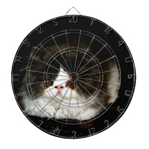 Cible De Fléchettes jolie photo noir blanc chaton chat ragdoll