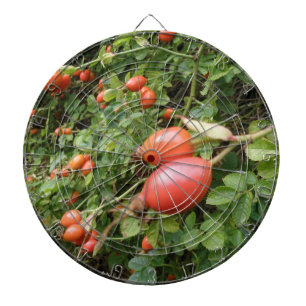 Cible de flechettes Juicy Red Rose Hips