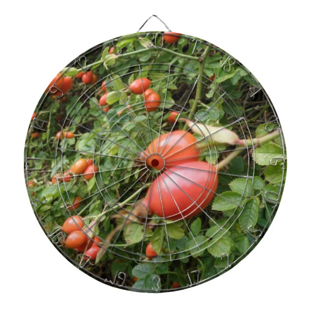 Cible de flechettes Juicy Red Rose Hips (Devant)