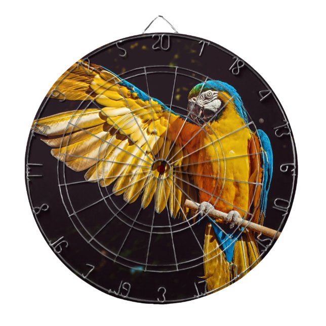 Cible De Fléchettes Parrot Sortir Aile Étendue (Devant)