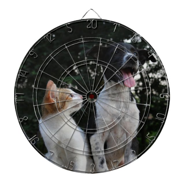 Cible De Fléchettes Pet Photo Dartboard (Devant)
