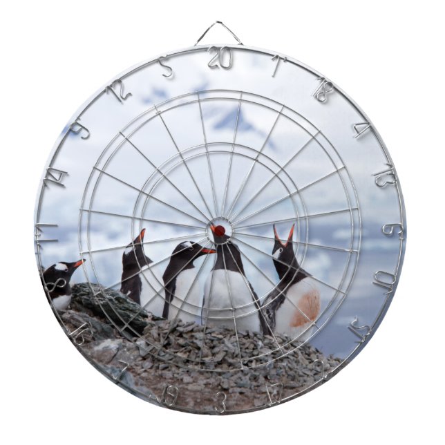 Cible De Fléchettes Pingouins en Antarctique (Devant)