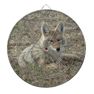 Cible De Fléchettes R22 Coyote Laying