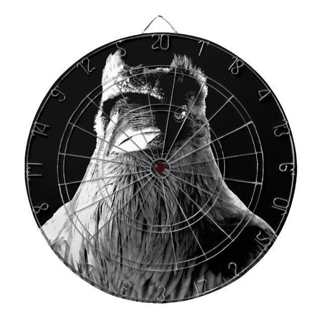 Cible De Fléchettes Raven Dartboard Cool Raven Cadeaux et Dartboard (Devant)