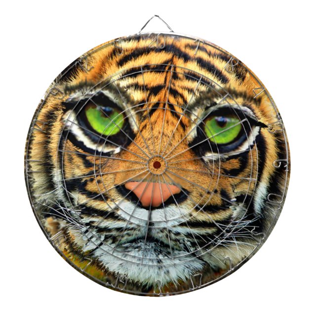 Cible de flechettes sauvage de Tigre (Devant)