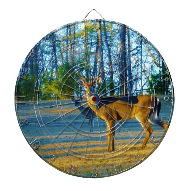Cible De Fléchettes Stade / Buck Deer, Ciel bleu clair (Devant)