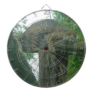 Cible De Fléchettes Tigre dormant dans l'arbre, la forêt, la nature, l