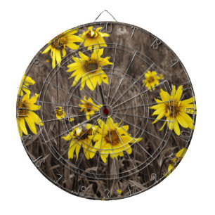 Cible De Fléchettes Tournesol dans la Montagne Rocheuse