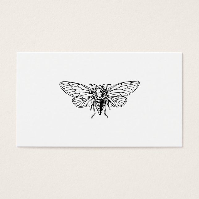 Cicada (Front)