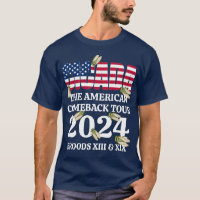 CICADA American Comeback Tour 2024