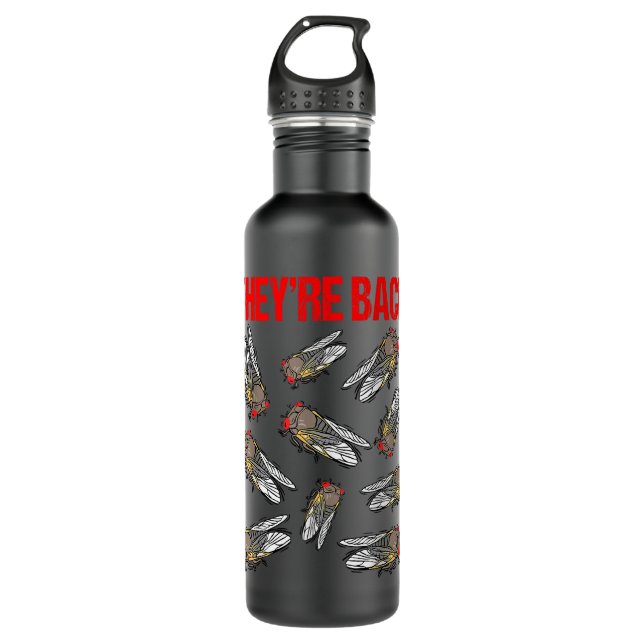 Cicada Brood X   Theyre Back Cicadas T Kids 710 Ml Water Bottle (Front)
