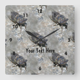 Cicada Bug Face Nature Pattern Personalized Square Wall Clock