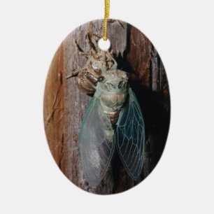 Cicada dries his wings ceramic ornament