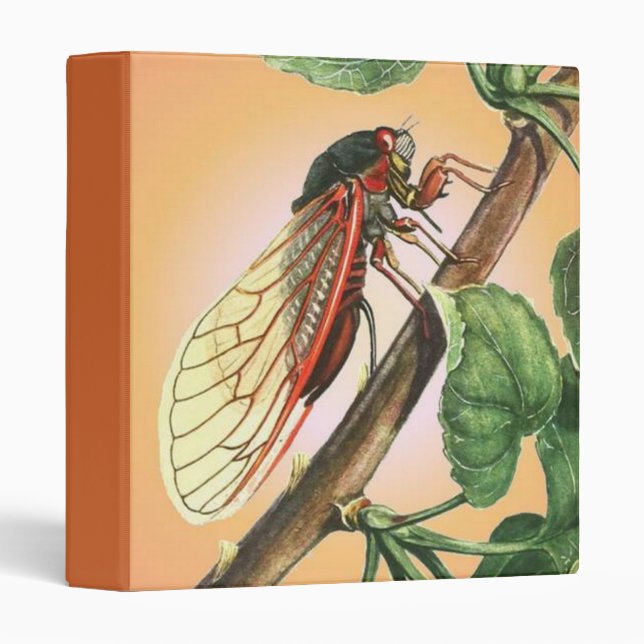 Cicada Insect Illustration Art Binder (Front/Spine)