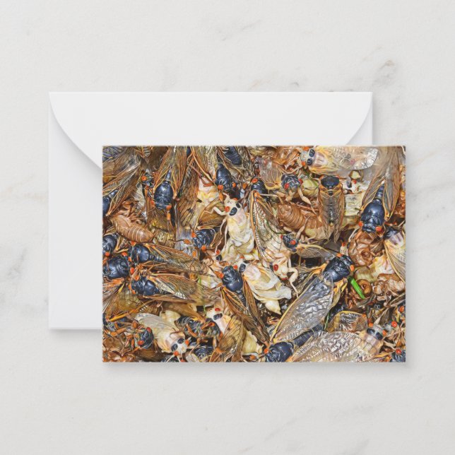 Cicada Invasion Card (Front)