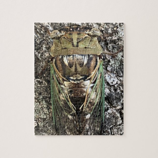 Cicada  jigsaw puzzle (Vertical)