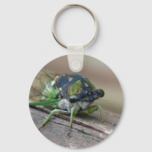 Cicada Keychain