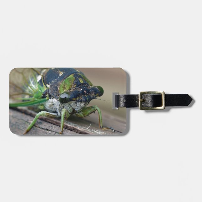 Cicada Luggage Tag (Front Horizontal)