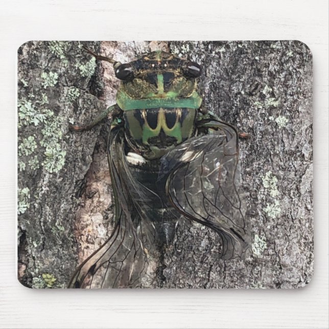 Cicada Mouse Pad (Front)