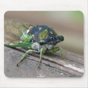 Cicada Mouse Pad