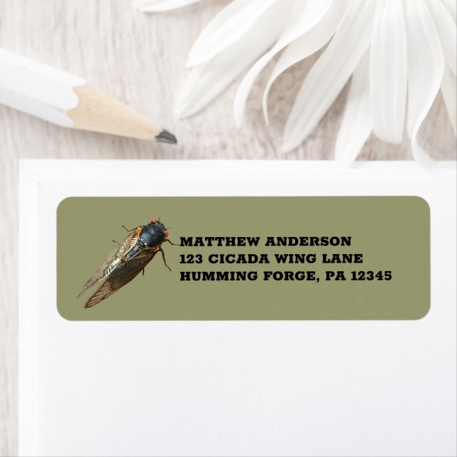 Cicada Photo Bug, Insect Return Address (Insitu)