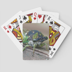 Cicada Playing Cards