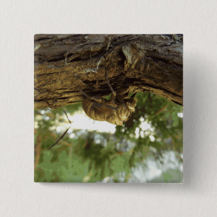 Cicada shell. It was in a hurry. 2 Inch Square Button