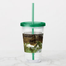 Cicada shell. It was in a hurry.