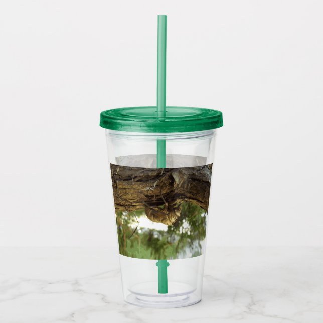 Cicada shell. It was in a hurry. Acrylic Tumbler (Front)