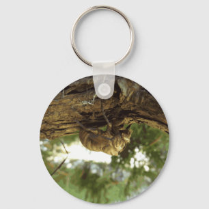 Cicada shell. It was in a hurry. Keychain