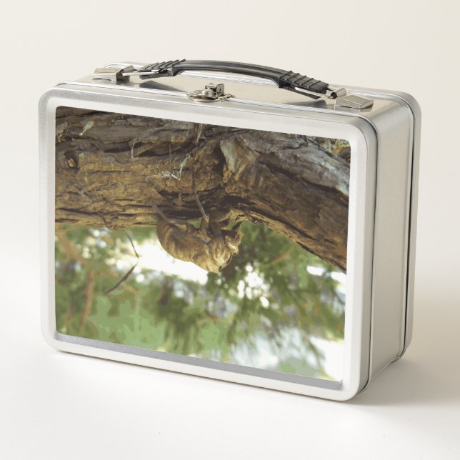 Cicada shell. It was in a hurry. Metal Lunch Box (Front)