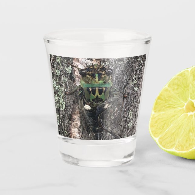 Cicada Shot Glass (Front)