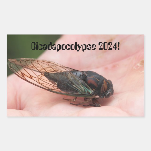 Cicadapocolypse 2024 sticker (Front)