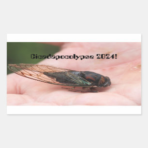 Cicadapocolypse 2024 sticker