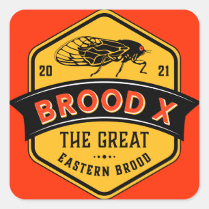 Cicadas Brood X the Great Eastern Brood Square Sticker