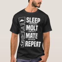 Cicadas Life Cycle Sleep Moult Mate Repeat Entomol