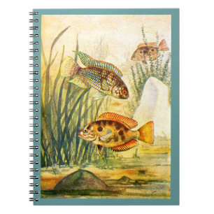 Cichlid Fish Notebook
