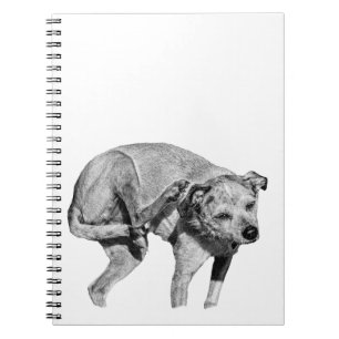 Cider Night Scribbles Notebook